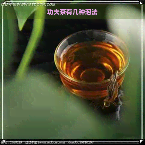 功夫茶有几种泡法