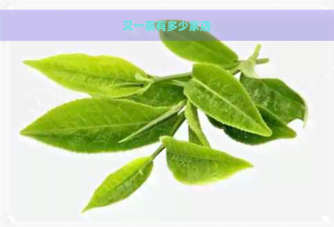 又一茶有多少家店