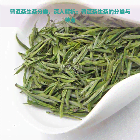 普洱茶生茶分类，深入解析：普洱茶生茶的分类与特点