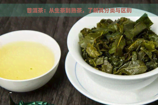 普洱茶：从生茶到熟茶，了解其分类与区别