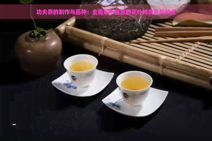 功夫茶的制作与品种：全面解析包含的茶叶种类及其特点