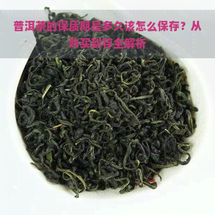 普洱茶的保质期是多久该怎么保存？从购买到存全解析