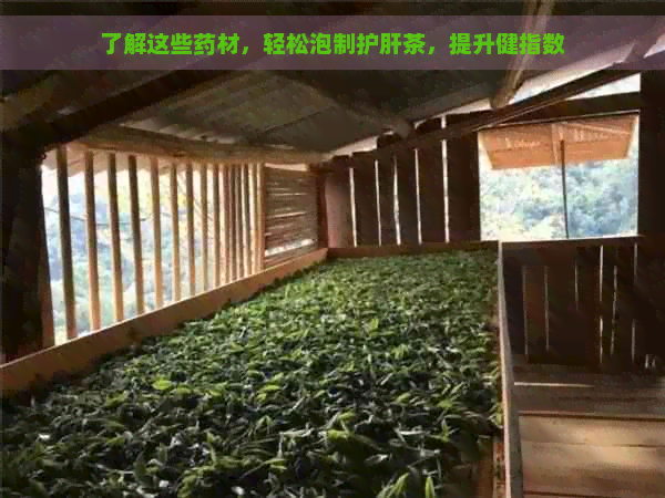 了解这些药材，轻松泡制护肝茶，提升健指数