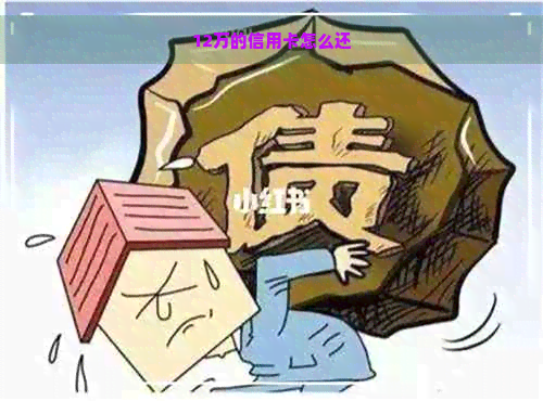 12万的信用卡怎么还