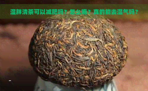 湿胖清茶可以减肥吗？怎么喝？真的能去湿气吗？