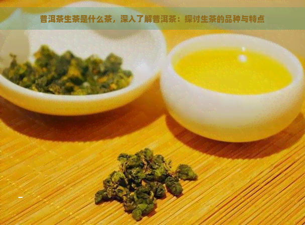 普洱茶生茶是什么茶，深入了解普洱茶：探讨生茶的品种与特点