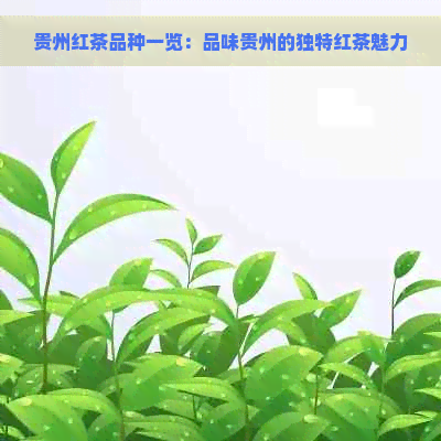 贵州红茶品种一览：品味贵州的独特红茶魅力