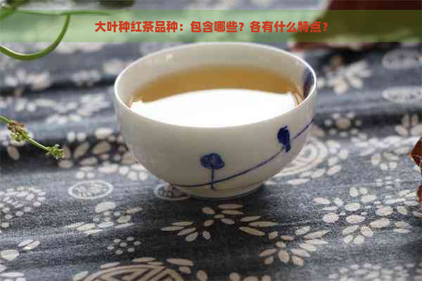 大叶种红茶品种：包含哪些？各有什么特点？