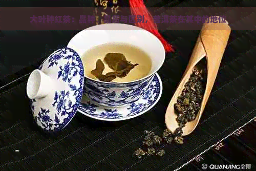 大叶种红茶：品种、品质与区别，普洱茶在其中的地位