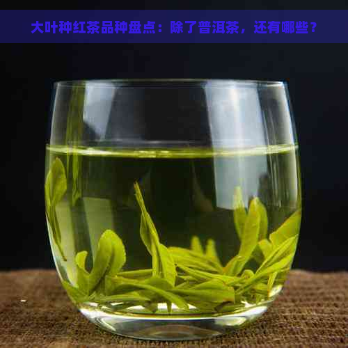 大叶种红茶品种盘点：除了普洱茶，还有哪些？