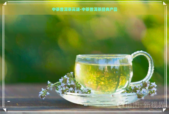 中茶普洱茶高端-中茶普洱茶经典产品