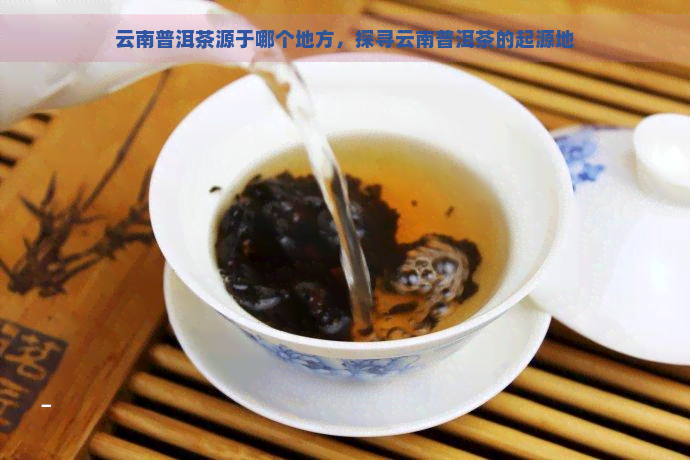 云南普洱茶源于哪个地方，探寻云南普洱茶的起源地