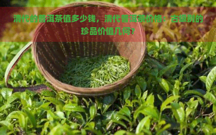 清代的普洱茶值多少钱，清代普洱茶价格：古级别的珍品价值几何？