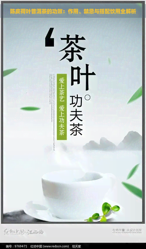 陈皮荷叶普洱茶的功效：作用、禁忌与搭配饮用全解析