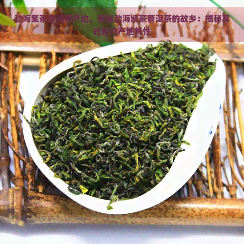 勐海紫茶普洱茶产地，探秘勐海紫茶普洱茶的故乡：揭秘其独特的产地特性