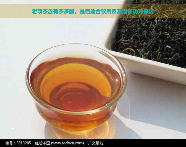 老荫茶含有茶多酚，是否适合饮用及其潜在功效探讨
