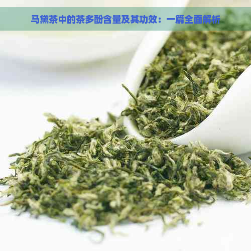 马黛茶中的茶多酚含量及其功效：一篇全面解析