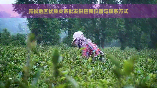 曼松地区优质贡茶批发供应商位置与联系方式