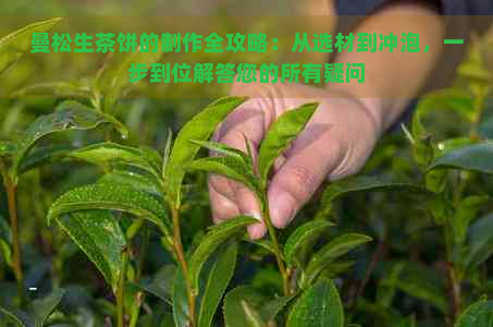 曼松生茶饼的制作全攻略：从选材到冲泡，一步到位解答您的所有疑问