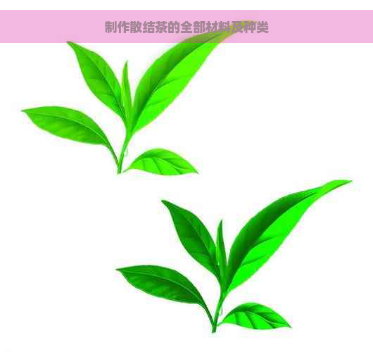 制作散结茶的全部材料及种类