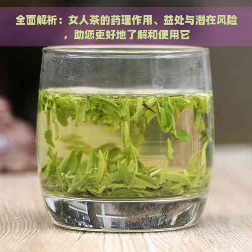 全面解析：女人茶的药理作用、益处与潜在风险，助您更好地了解和使用它