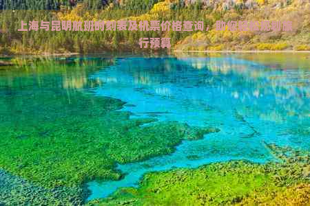 上海与昆明航班时刻表及机票价格查询，助您轻松规划旅行预算