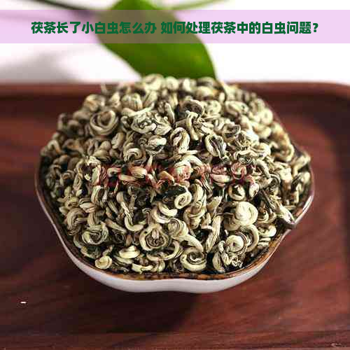 茯茶长了小白虫怎么办 如何处理茯茶中的白虫问题？