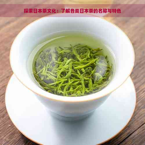 探索茶文化：了解各类茶的名称与特色