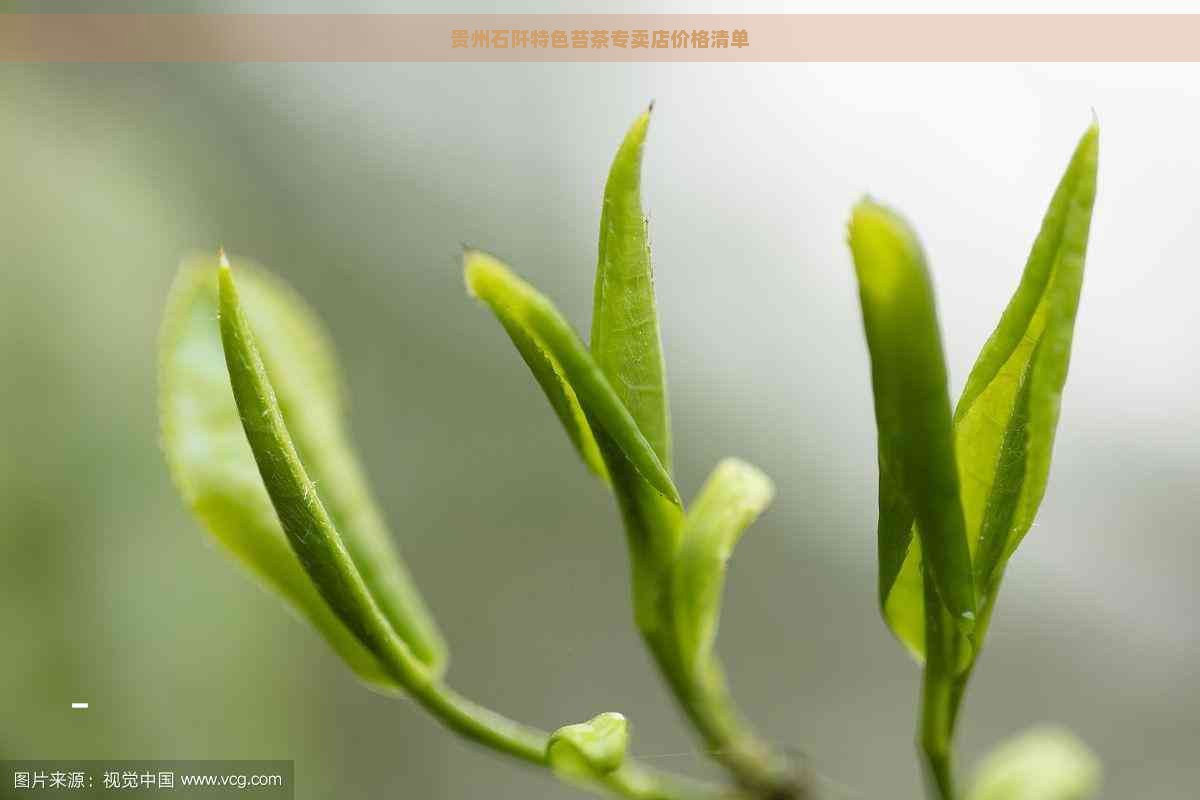 贵州石阡特色苔茶专卖店价格清单