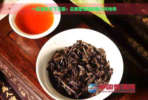 一品曼松天下无茶：云南普洱茶的魅力与传承