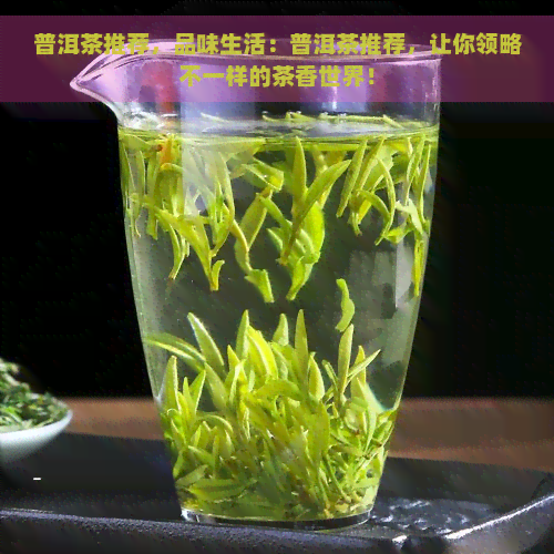 普洱茶推荐，品味生活：普洱茶推荐，让你领略不一样的茶香世界！