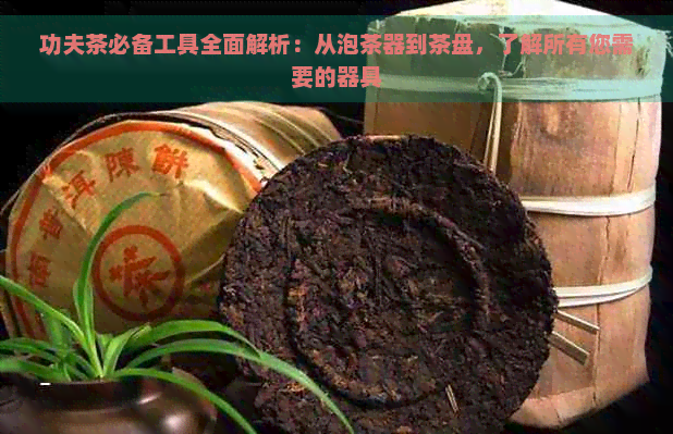 功夫茶必备工具全面解析：从泡茶器到茶盘，了解所有您需要的器具