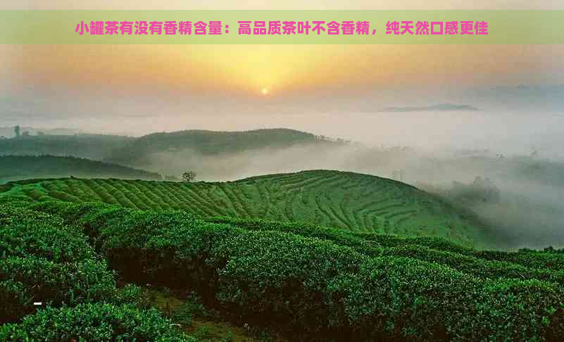 小罐茶有没有香精含量：高品质茶叶不含香精，纯天然口感更佳