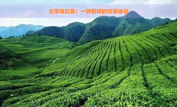 古早味红茶：一种别样的饮茶体验