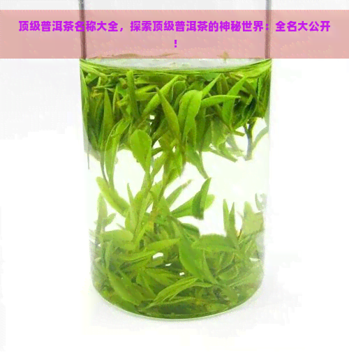 顶级普洱茶名称大全，探索顶级普洱茶的神秘世界：全名大公开！