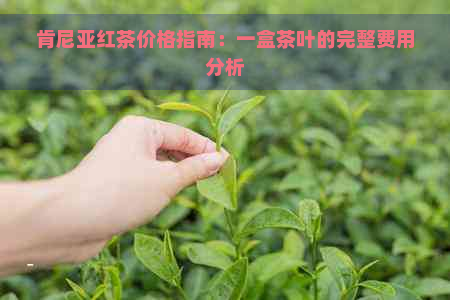 肯尼亚红茶价格指南：一盒茶叶的完整费用分析