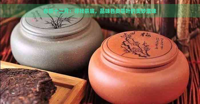 春茶十二月：寻找茶底，品味各类茶叶的美妙滋味