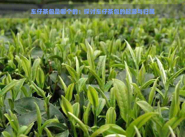 车仔茶包是哪个的：探讨车仔茶包的起源与归属