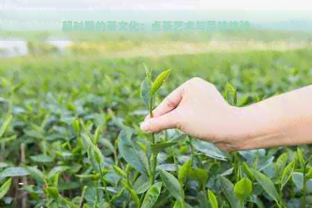 朝时期的茶文化：点茶艺术与品味体验