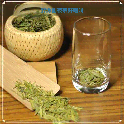 婺源仙枝茶好喝吗