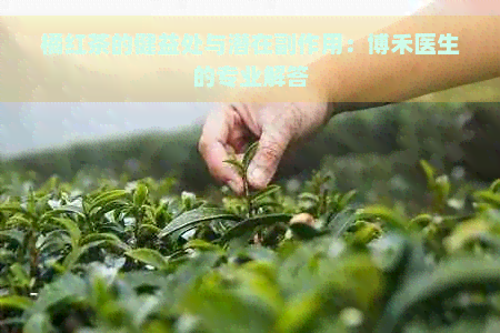 橘红茶的健益处与潜在副作用：博禾医生的专业解答