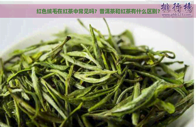 红色绒毛在红茶中常见吗？普洱茶和红茶有什么区别？