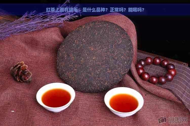 红茶上面有绒毛：是什么品种？正常吗？能喝吗？