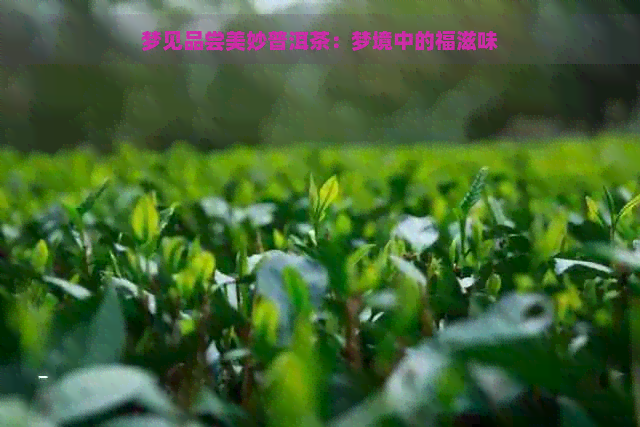 梦见品尝美妙普洱茶：梦境中的福滋味