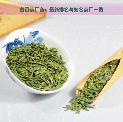 普洱茶厂商：最新排名与知名茶厂一览