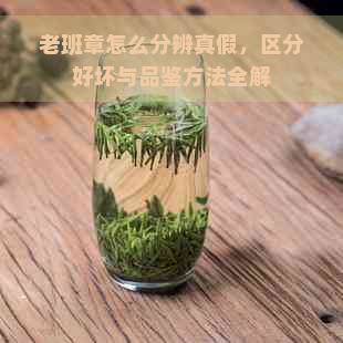 老班章怎么分辨真假，区分好坏与品鉴方法全解