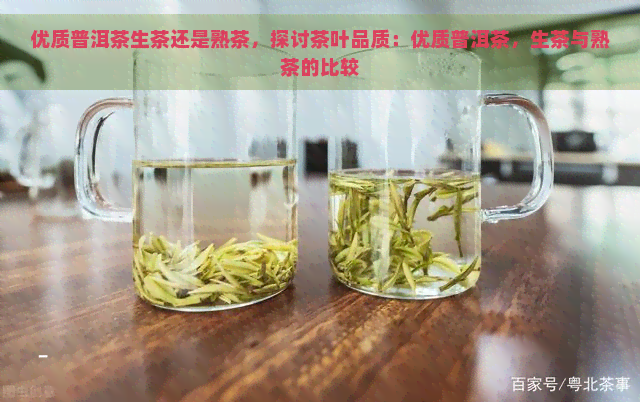 优质普洱茶生茶还是熟茶，探讨茶叶品质：优质普洱茶，生茶与熟茶的比较