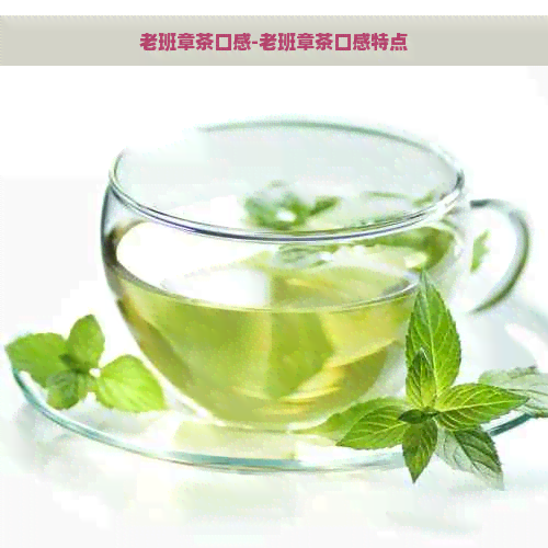 老班章茶口感-老班章茶口感特点