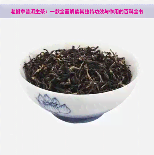 老班章普洱生茶：一款全面解读其独特功效与作用的百科全书