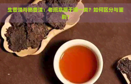 生普洱与熟普洱：老班章属于哪一类？如何区分与鉴别？